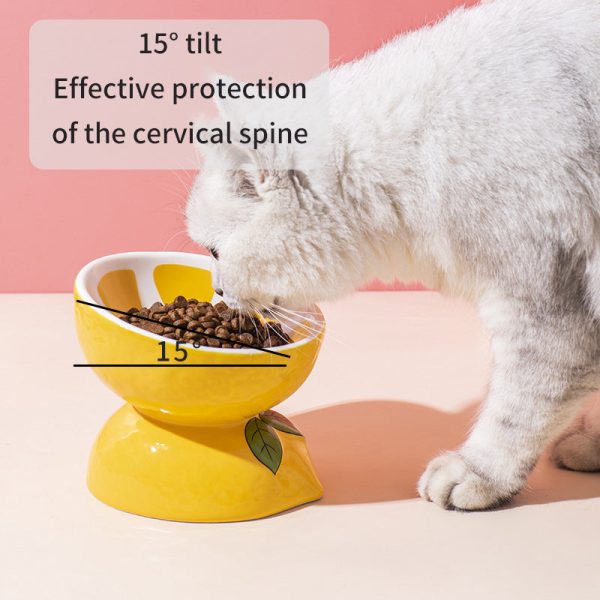 Fruit-Themed Ceramic Cat Bowls