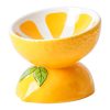 Fruit-Themed Ceramic Cat Bowls