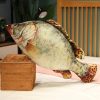Funny Fish Plush Toy - Soft Carp Pillow for Kids & Creative Sleep Cushion Funny Fish Plush Toy - Soft Carp Pillow for Kids & Creative Sleep Cushion