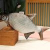 Funny Fish Plush Toy - Soft Carp Pillow for Kids & Creative Sleep Cushion Funny Fish Plush Toy - Soft Carp Pillow for Kids & Creative Sleep Cushion