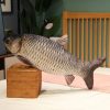 Funny Fish Plush Toy - Soft Carp Pillow for Kids & Creative Sleep Cushion Funny Fish Plush Toy - Soft Carp Pillow for Kids & Creative Sleep Cushion