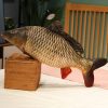 Funny Fish Plush Toy - Soft Carp Pillow for Kids & Creative Sleep Cushion Funny Fish Plush Toy - Soft Carp Pillow for Kids & Creative Sleep Cushion