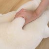 Funny Goose Plush Pillow Soft Stuffed Duck for Kids and Adults Funny Goose Plush Pillow Soft Stuffed Duck for Kids and Adults