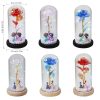 Galaxy Eternal Rose in Glass Dome with Light and Butterfly – Mother’s Day Gift Galaxy Eternal Rose in Glass Dome with Light and Butterfly – Mother’s Day Gift