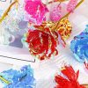 Galaxy Gold Foil Eternal Rose Galaxy Gold Foil Eternal Rose