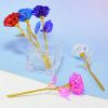 Galaxy Gold Foil Eternal Rose Galaxy Gold Foil Eternal Rose