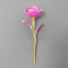 Galaxy Gold Foil Eternal Rose Galaxy Gold Foil Eternal Rose