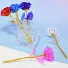 Galaxy Gold Foil Eternal Rose Galaxy Gold Foil Eternal Rose