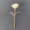 Galaxy Gold Foil Eternal Rose Galaxy Gold Foil Eternal Rose