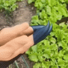 Garden Planting Gloves Garden Planting Gloves