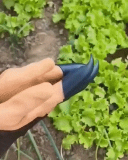 Garden Planting Gloves Garden Planting Gloves