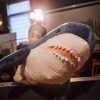 Giant Soft Shark Plush Toy - Cozy Fish Pillow for Kids & Gifts Giant Soft Shark Plush Toy - Cozy Fish Pillow for Kids & Gifts