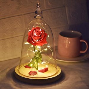 Glass Cover Rose Led Super Light