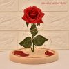 Glass Cover Rose Led Super Light Glass Cover Rose Led Super Light