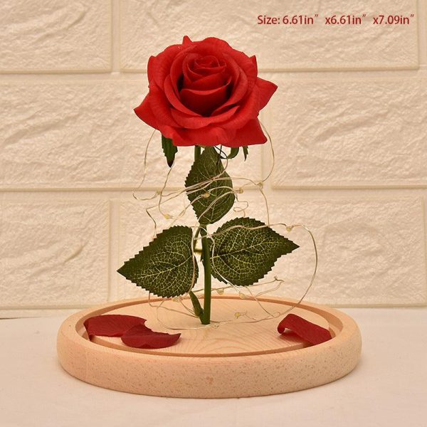 Glass Cover Rose Led Super Light Glass Cover Rose Led Super Light