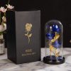 Glass Dome LED Rose – Romantic Gift for Women Glass Dome LED Rose – Romantic Gift for Women