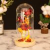 Glass Dome LED Rose – Romantic Gift for Women Glass Dome LED Rose – Romantic Gift for Women