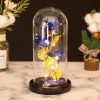 Glass Dome LED Rose – Romantic Gift for Women Glass Dome LED Rose – Romantic Gift for Women