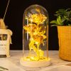 Glass Dome LED Rose – Romantic Gift for Women Glass Dome LED Rose – Romantic Gift for Women