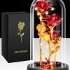 Glass Dome LED Rose – Romantic Gift for Women Glass Dome LED Rose – Romantic Gift for Women
