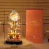 Glowing Galaxy Eternal Double Rose with LED Lights Romantic Gift for Valentine’s Day and Wedding Glowing Galaxy Eternal Double Rose with LED Lights Romantic Gift for Valentine’s Day and Wedding