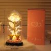 Glowing Galaxy Eternal Double Rose with LED Lights Romantic Gift for Valentine’s Day and Wedding Glowing Galaxy Eternal Double Rose with LED Lights Romantic Gift for Valentine’s Day and Wedding