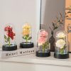 Glowing Galaxy Eternal Double Rose with LED Lights Romantic Gift for Valentine’s Day and Wedding Glowing Galaxy Eternal Double Rose with LED Lights Romantic Gift for Valentine’s Day and Wedding