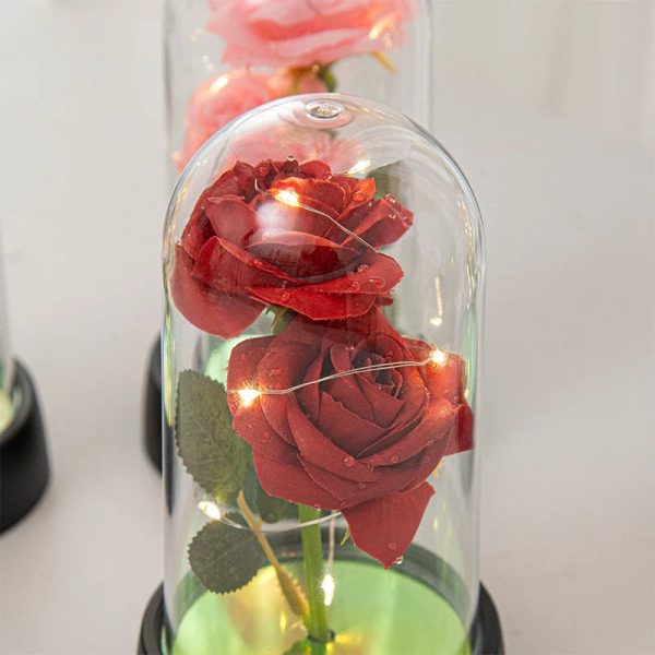 Glowing Galaxy Eternal Double Rose with LED Lights Romantic Gift for Valentine’s Day and Wedding Glowing Galaxy Eternal Double Rose with LED Lights Romantic Gift for Valentine’s Day and Wedding