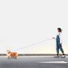 Glowing Retractable Dog Leash And Flashlight Glowing Retractable Dog Leash And Flashlight