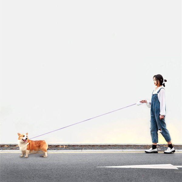 Glowing Retractable Dog Leash And Flashlight Glowing Retractable Dog Leash And Flashlight