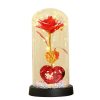 Golden Eternal Rose Night Light Decoration Golden Eternal Rose Night Light Decoration