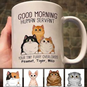 Good Morning Cat Human Servant Gift For Cat Lovers Personalized Mug