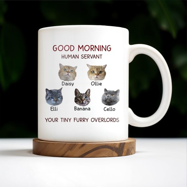 Good Morning Human Servant Your Tiny Furry Overlords Mug - Personalized Custom Coffee Mug - PET094_MG