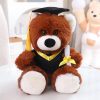 Graduate Plush Dolls: Adorable Capybara, Owl & Bear Stuffed Toys Graduate Plush Dolls: Adorable Capybara, Owl & Bear Stuffed Toys