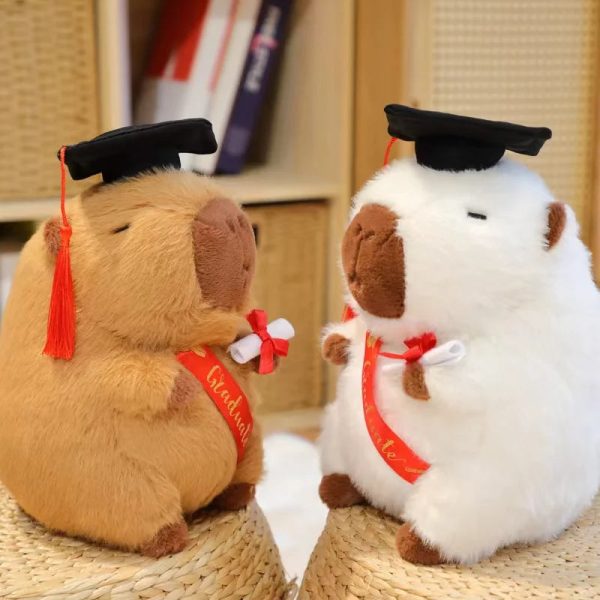 Graduate Plush Dolls: Adorable Capybara, Owl & Bear Stuffed Toys Graduate Plush Dolls: Adorable Capybara, Owl & Bear Stuffed Toys