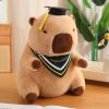 Graduate Plush Dolls: Adorable Capybara, Owl & Bear Stuffed Toys Graduate Plush Dolls: Adorable Capybara, Owl & Bear Stuffed Toys
