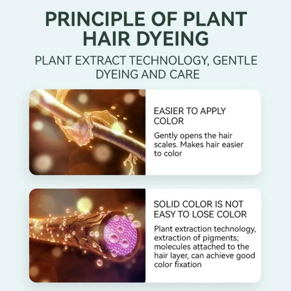 Hair Dye Cream With Comb Hair Dye Cream With Comb