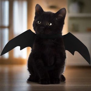 Halloween Kitty Bat Wings