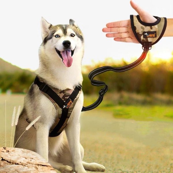 Hand Grip Leash