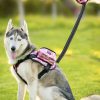 Hand Grip Leash