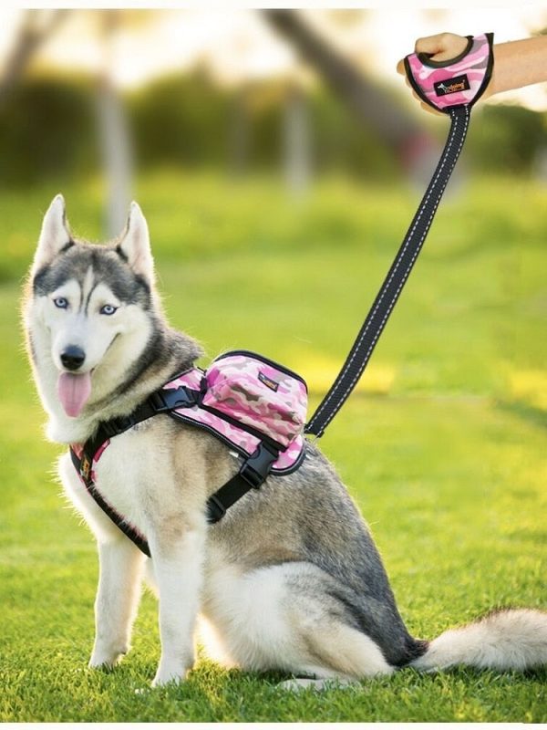 Hand Grip Leash
