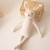 Handmade Bunny Plush in Cloth Dress Handmade Bunny Plush in Cloth Dress