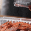 Healthy Cook Oil Sprayer