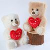 Heart Shaped Bear Plush Toy 13.5 Inches Heart Shaped Bear Plush Toy 13.5 Inches