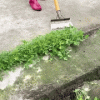 Heavy Duty Outdoor Garden Shovel For Quick Weeding And Cleaning Heavy Duty Outdoor Garden Shovel For Quick Weeding And Cleaning