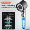 Hydroblast Shower Massager