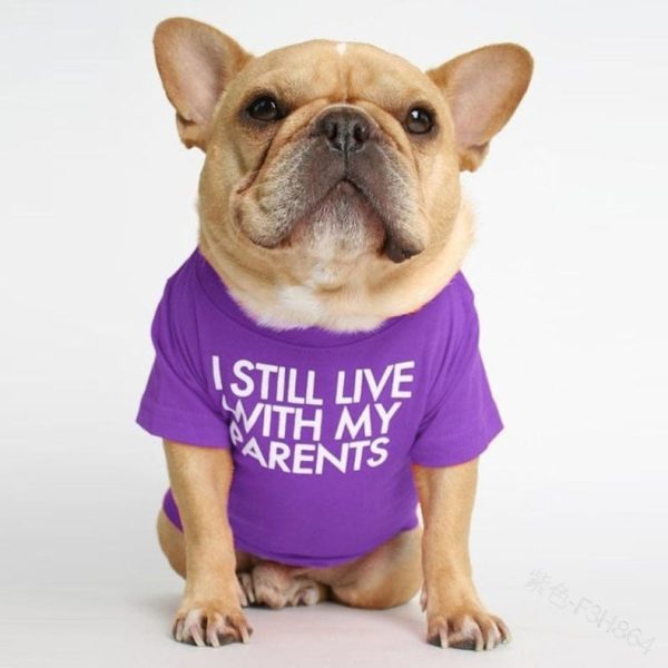 I Still Live With My Parents Dog Shirt