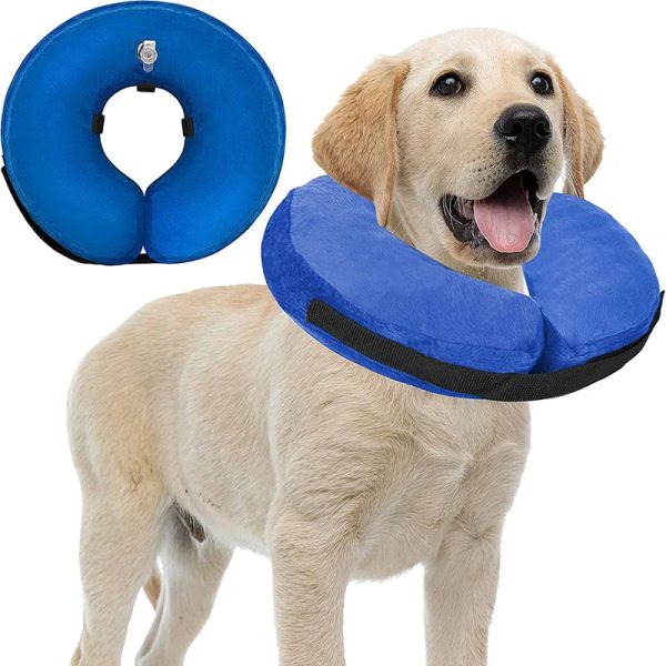 Inflatable Pet Recovery Collar Inflatable Pet Recovery Collar