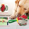 Interactive Dog Toy
