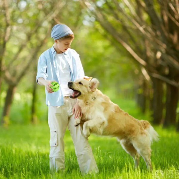 Interactive Rubber Pet Dog Toy Interactive Rubber Pet Dog Toy